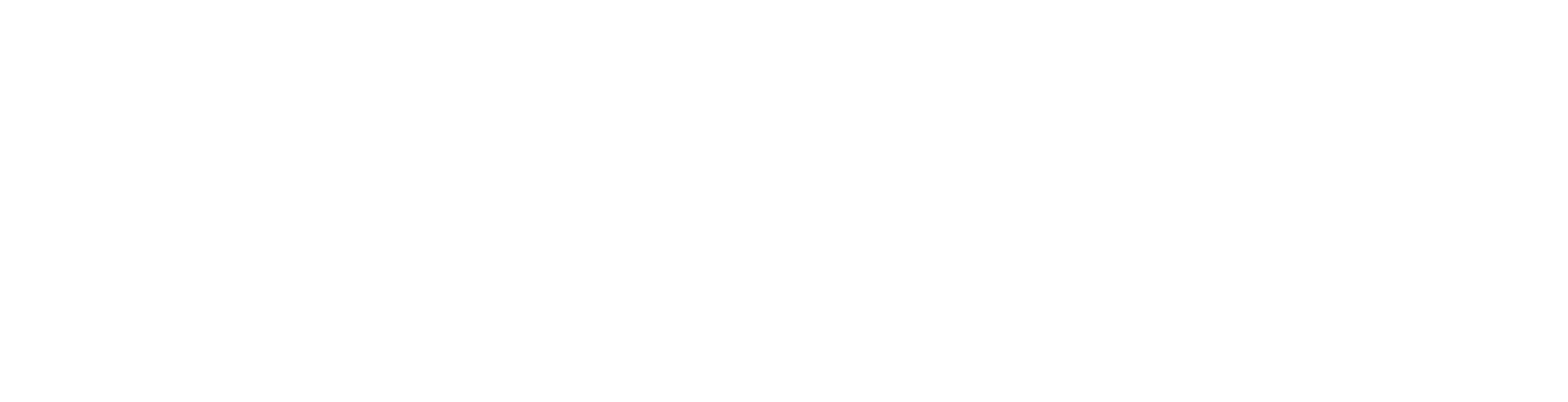 RHIZOM FILMGESCHICHTE